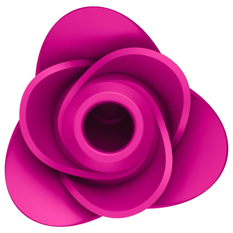 Satisfyer Pro 2 Modern Blossom klitoriskiihotin