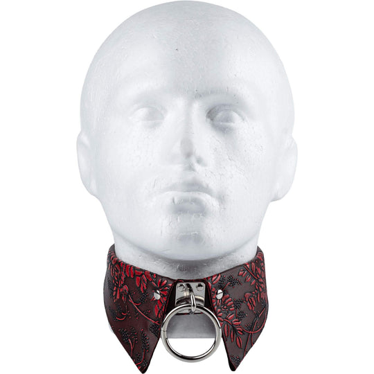 Collar collar